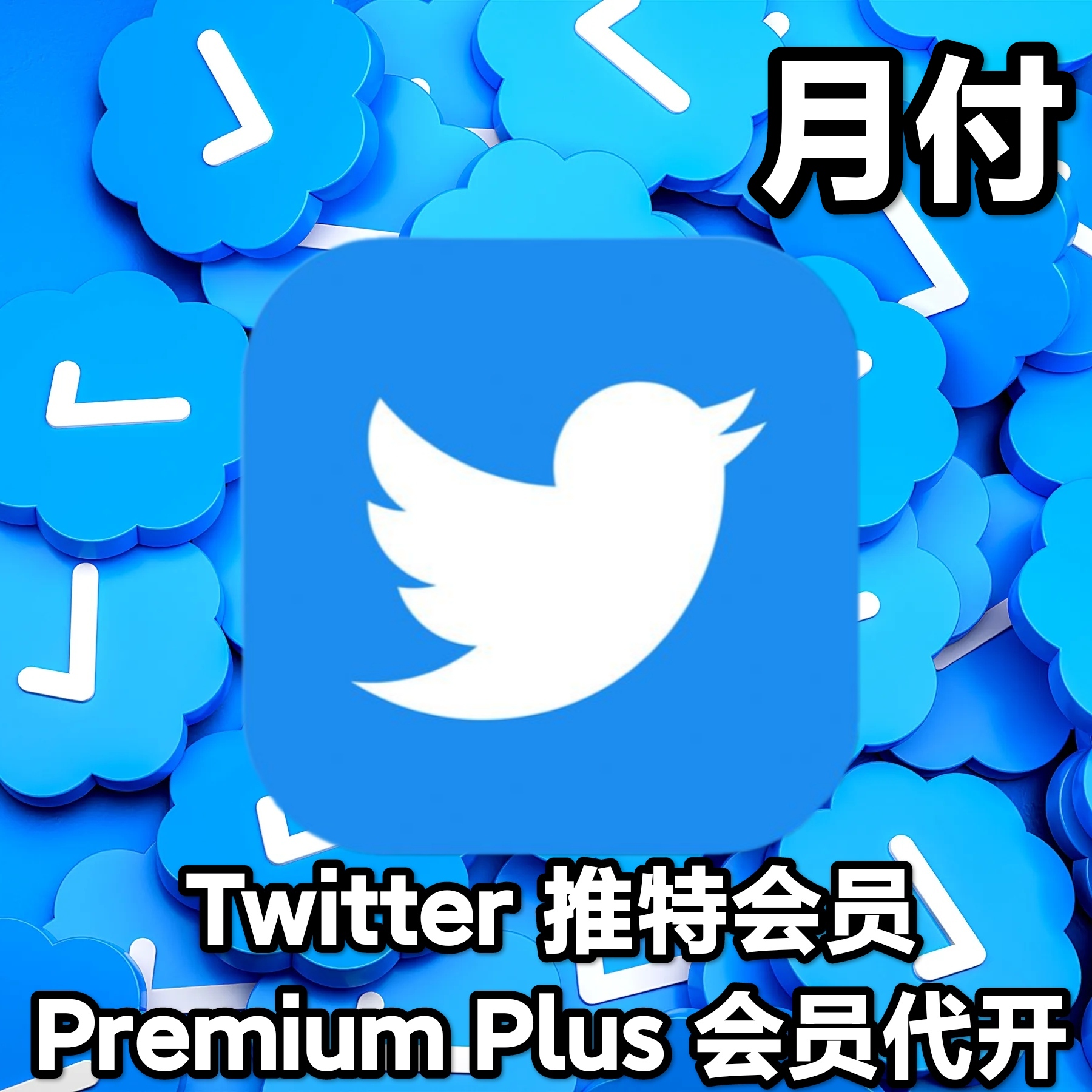 Twitter 推特会员 Premium Plus代开（月付）