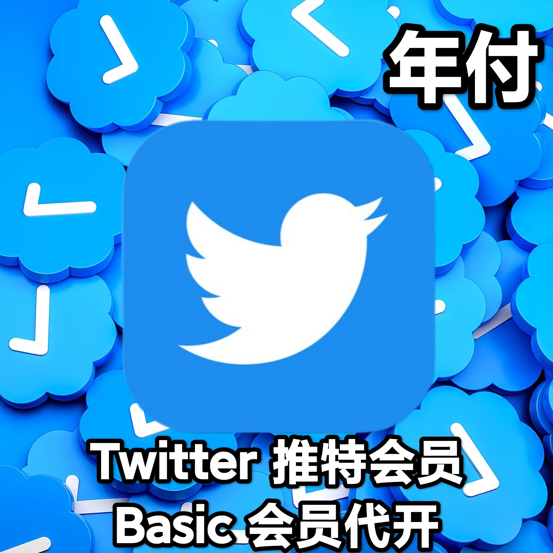 Twitter 推特会员 Basic代开（年付）