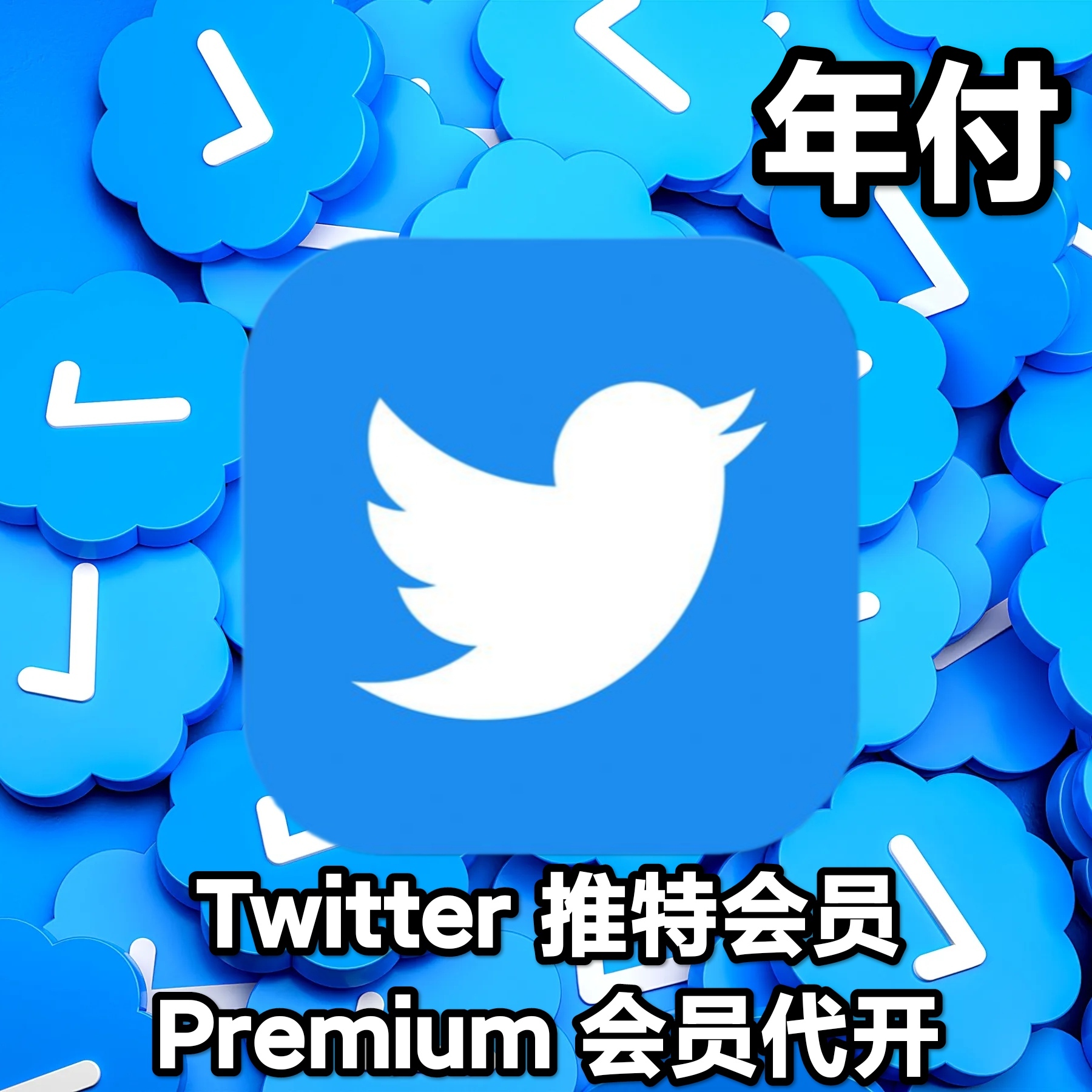 Twitter 推特会员 Premium代开（年付）