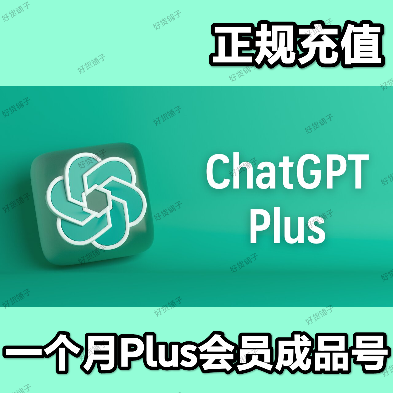 ChatGPT Plus 一个月会员（正规充值）